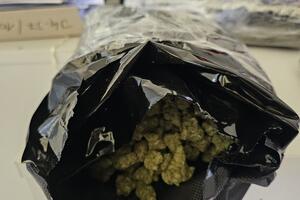 Marihuana iz SAD, metamfetamin iz Meksika: Uprava carina kaže da...