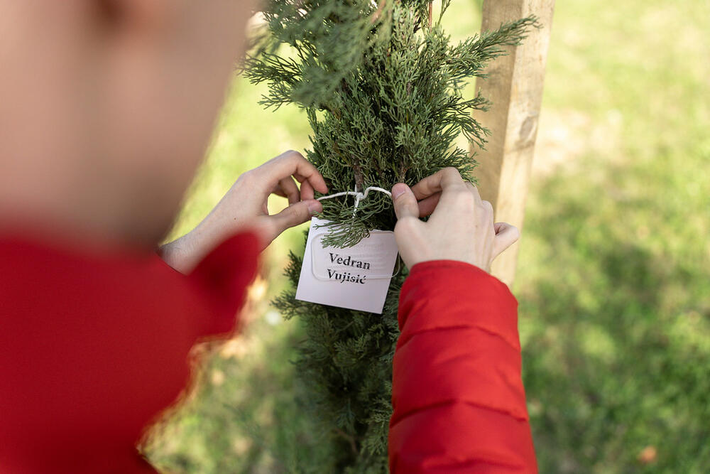 <p>Projekat "Stablo znanja" treću godinu zaredom realizuju Studentski parlament Univerziteta Crne Gore (SPUCG), Univerzitet Crne Gore, Agencija za zaštitu životne sredine, uz logističku podršku gradskog preduzeća DOO Zelenilo Podgorica</p>