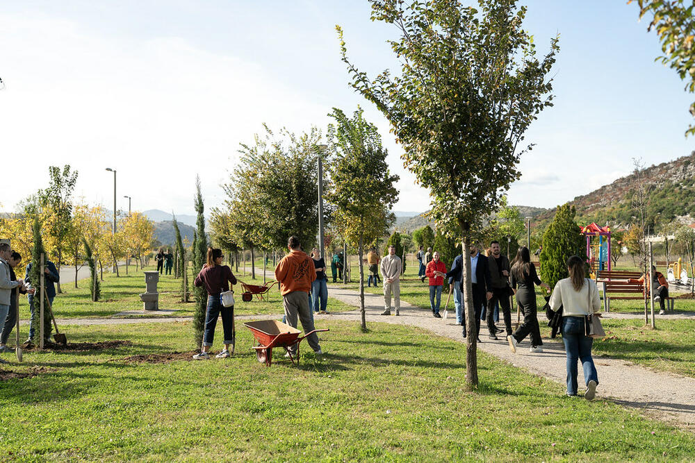 <p>Projekat "Stablo znanja" treću godinu zaredom realizuju Studentski parlament Univerziteta Crne Gore (SPUCG), Univerzitet Crne Gore, Agencija za zaštitu životne sredine, uz logističku podršku gradskog preduzeća DOO Zelenilo Podgorica</p>