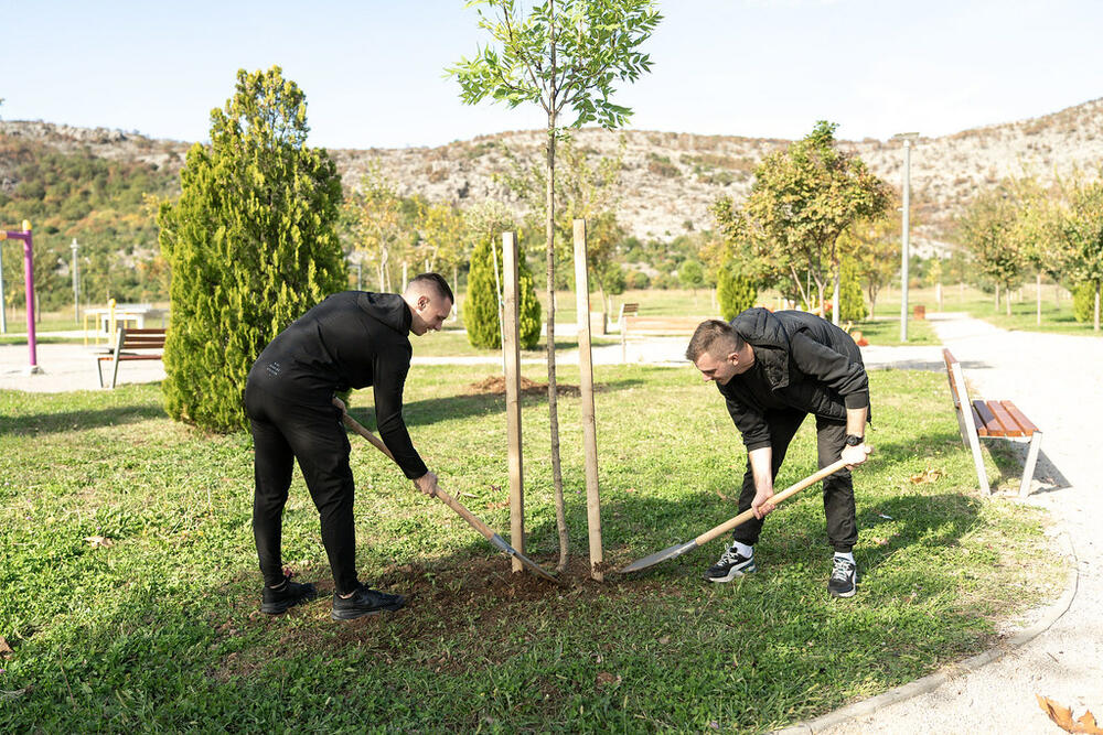 <p>Projekat "Stablo znanja" treću godinu zaredom realizuju Studentski parlament Univerziteta Crne Gore (SPUCG), Univerzitet Crne Gore, Agencija za zaštitu životne sredine, uz logističku podršku gradskog preduzeća DOO Zelenilo Podgorica</p>