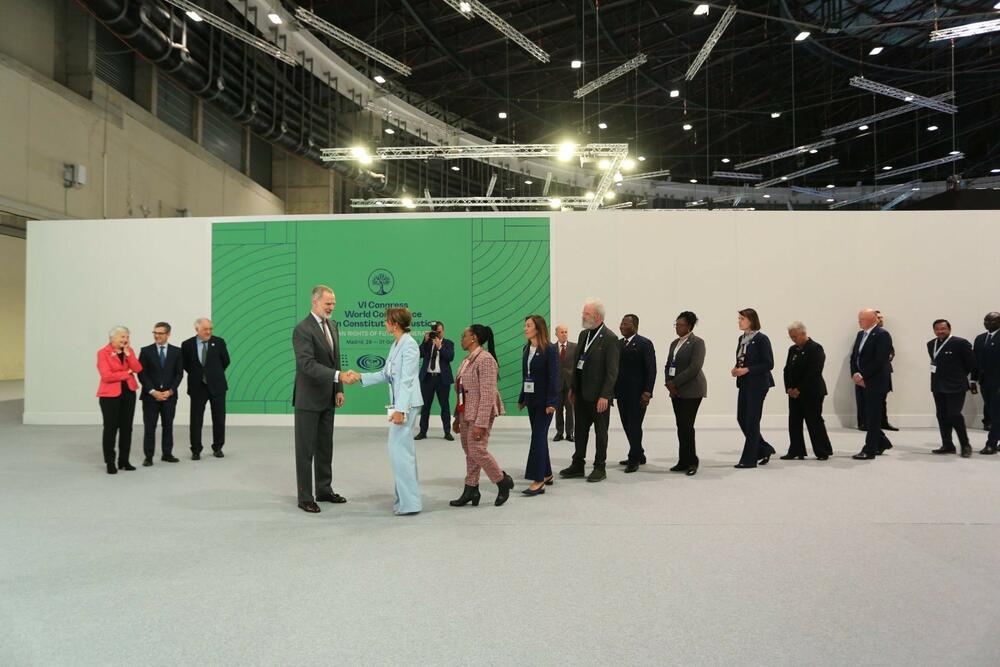 Svjetska konferencija o ustavnom sudstvu, Snežana Armenko, Desanka Lopičić