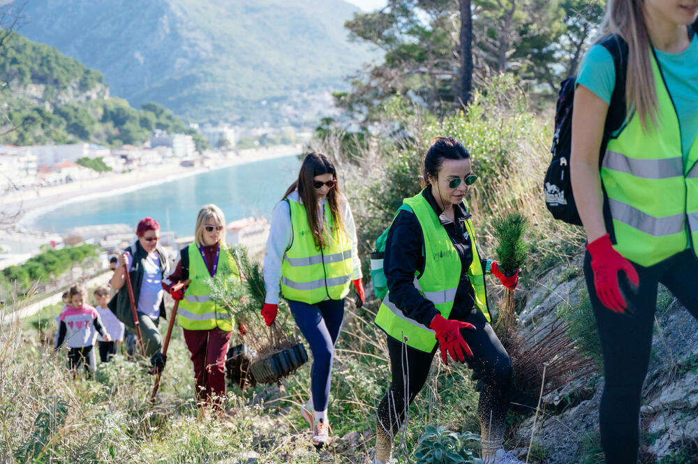 <p>U okviru inicijative „Boranka“ Saveza izviđača Crne Gore, koja okuplja partnere u obnovi opožarenih područja pokrenuta je i akcija „Jedno drvo je važno“ kompanije One.</p>