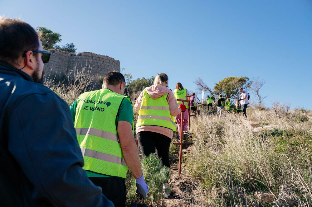 <p>U okviru inicijative „Boranka“ Saveza izviđača Crne Gore, koja okuplja partnere u obnovi opožarenih područja pokrenuta je i akcija „Jedno drvo je važno“ kompanije One.</p>