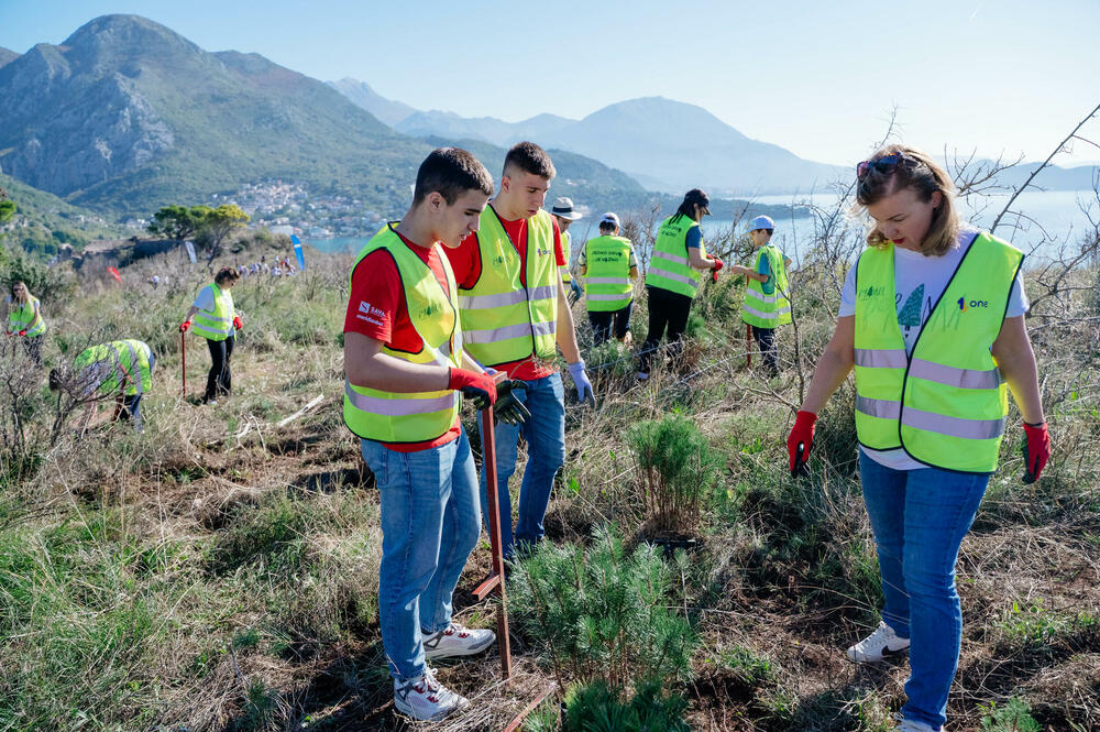 <p>U okviru inicijative „Boranka“ Saveza izviđača Crne Gore, koja okuplja partnere u obnovi opožarenih područja pokrenuta je i akcija „Jedno drvo je važno“ kompanije One.</p>