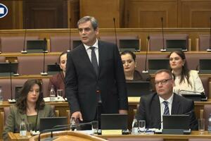 Ibrahimović: Ministri iz BS-a nisu glasali za uvođenje viza...