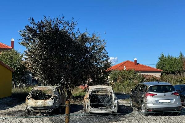 Uhapšen Zećanin, ali nije Milan Knežević