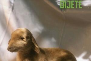 O odrastanju između kultura i jezika