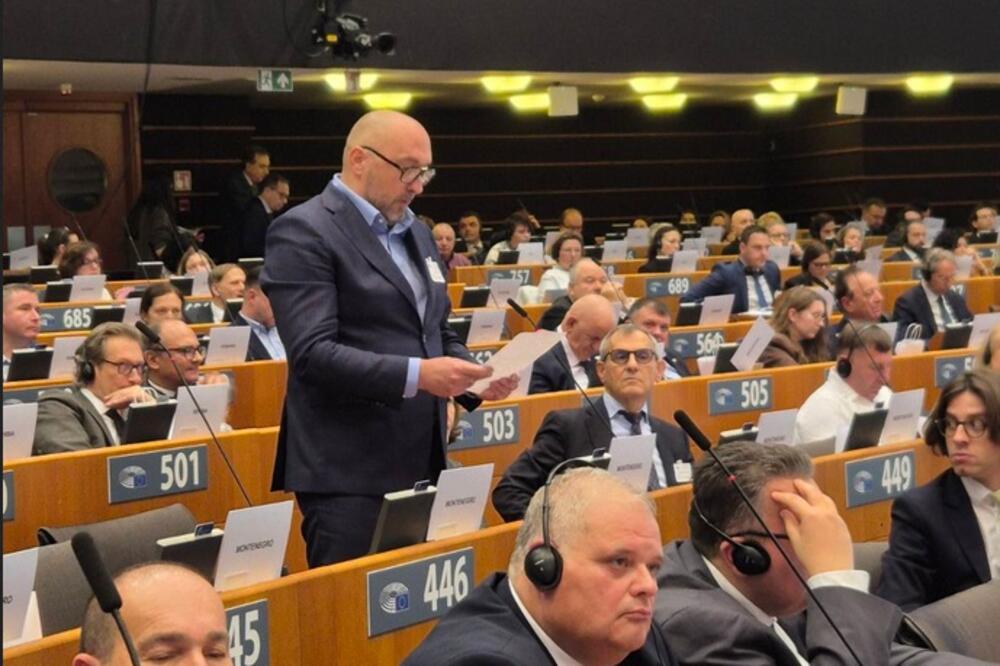 Lekić u Evropskom parlamentu, Foto: Privredna komora Crne Gore