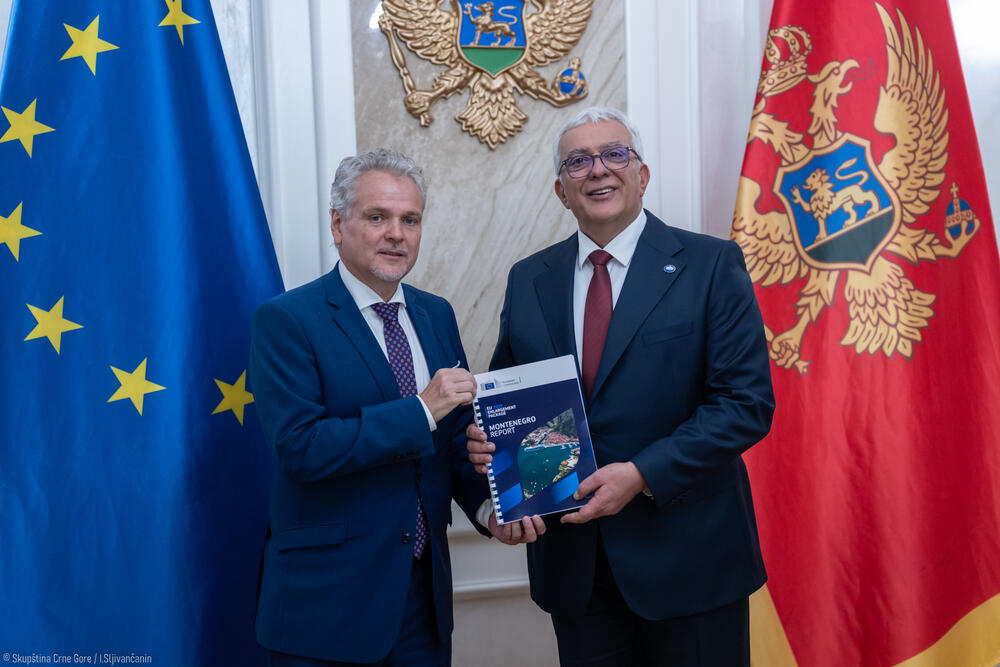 Mandić: Izvještaj EK potvrđuje da je Crna Gora prepoznata kao...