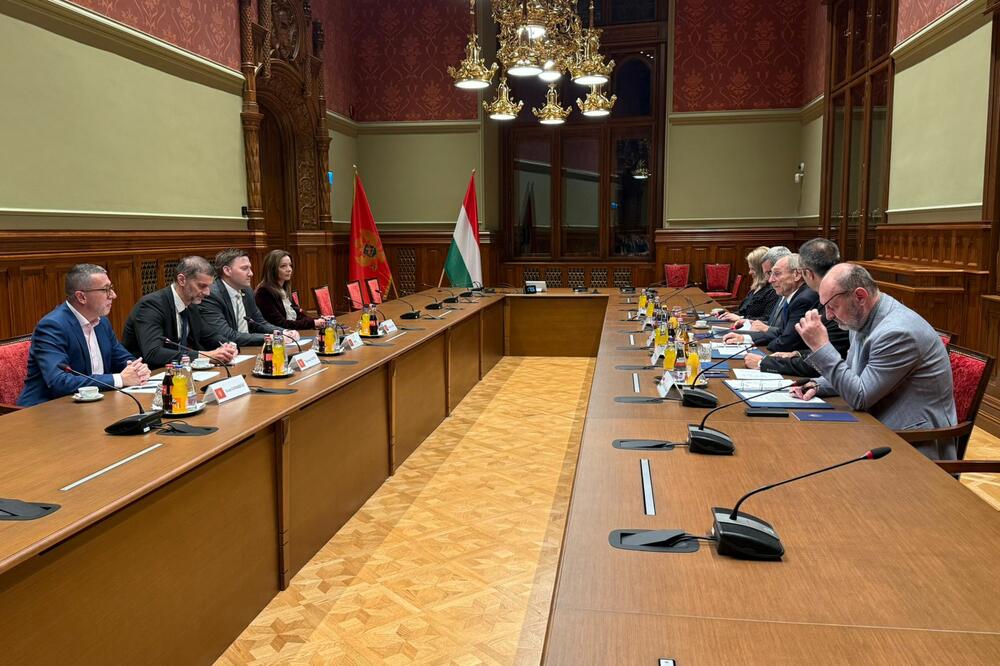 Sa sastanka, Foto: Ministarstvo zdravlja