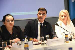 Šaranović o viznoj politici: EU traži 100 odsto usklađenosti, mi...