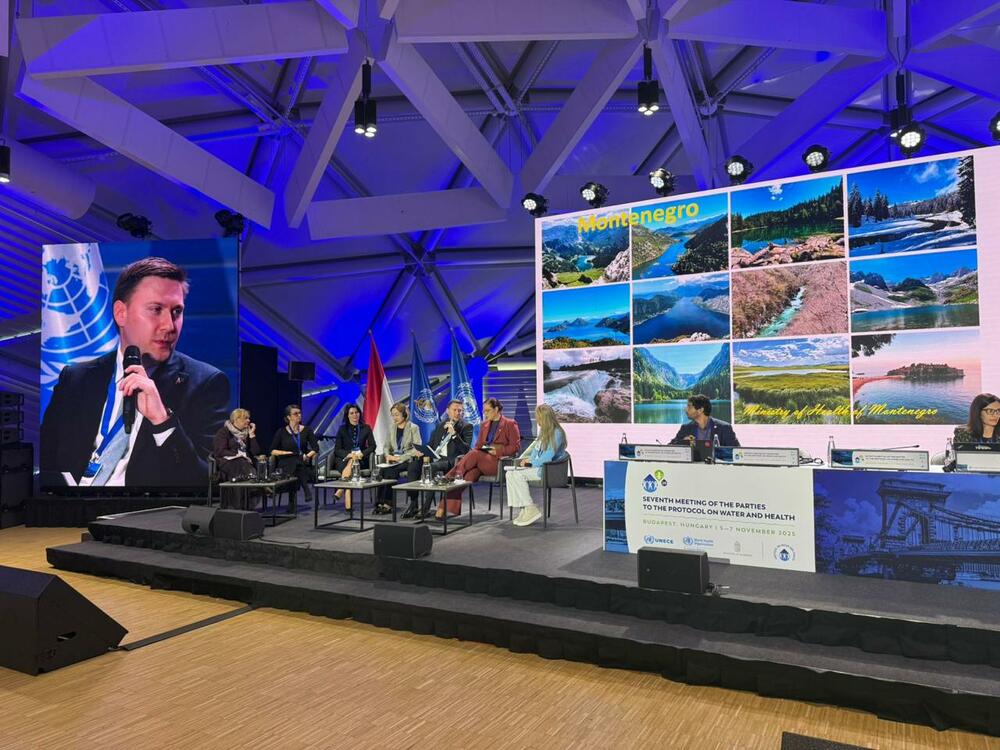 Šimun: Crna Gora posvećena sprovođenju Protokola o vodi i zdravlju