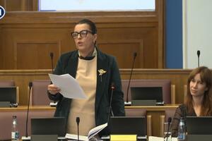 Vujović: Spomenik Đurišiću se ne nalazi u kulturnom dobru, za...