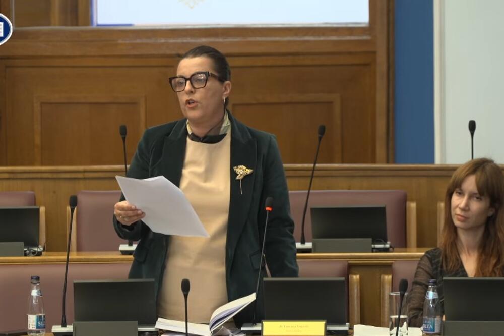 Vujović, Foto: Screenshot/Skupština Crne Gore