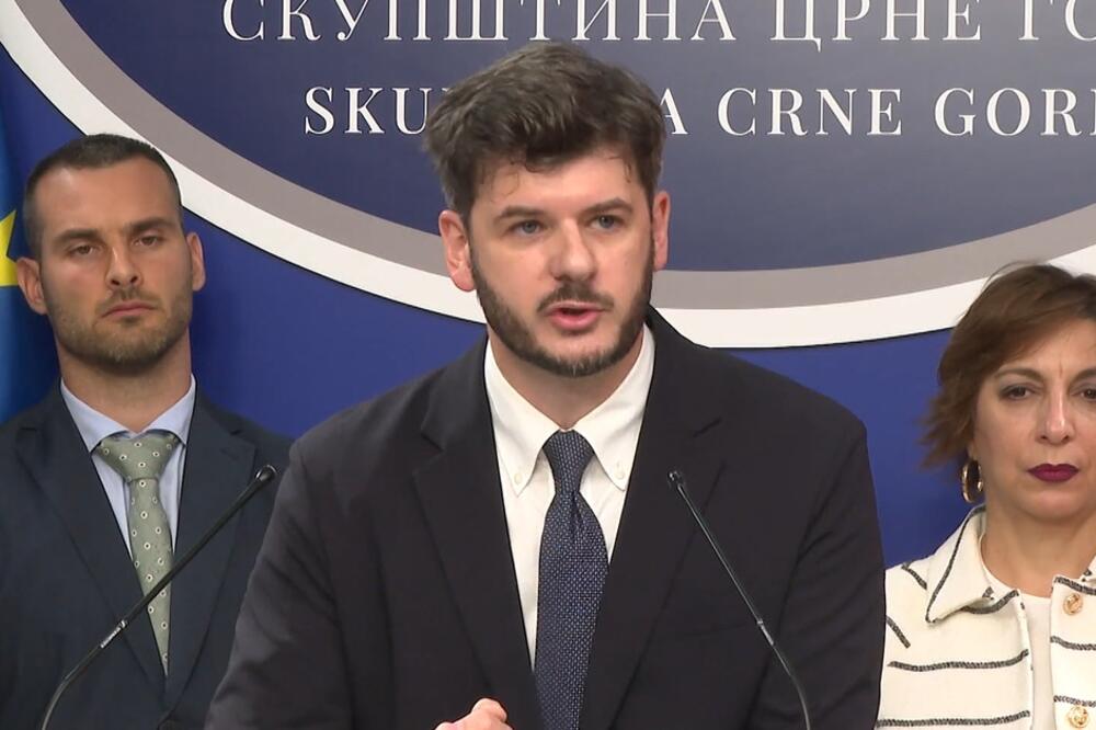 Kažu da će se u odnosu na ekonomsko državljanstvo odnijeti po pravilima EU: Čarapić, Foto: Screenshot/TV Vijesti