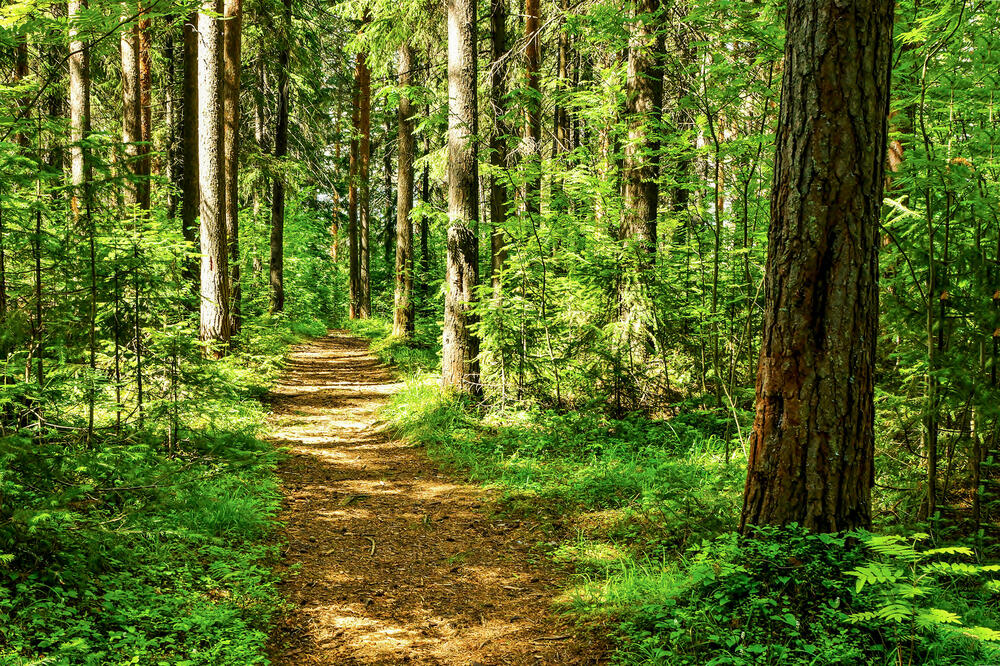 Ilustracija, Foto: Shutterstock