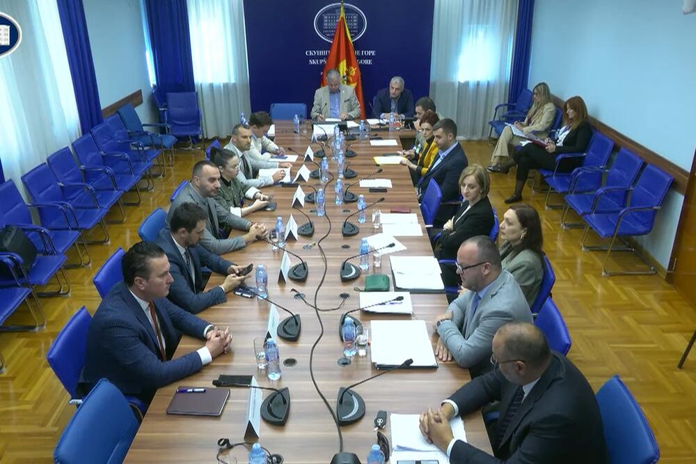 Foto: Screenshot/Skupština Crne Gore