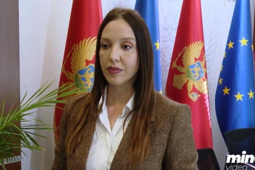 Vujović, Foto: Screenshot/Youtube/MINA