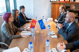 Vlahović Andrijašević: Crna Gora u saradnji sa UAE vidi priliku za...