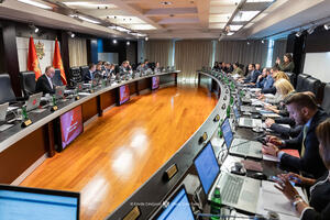 Vlada: Uništeno 1.745.126 kilograma duvana i duvanskih proizvoda