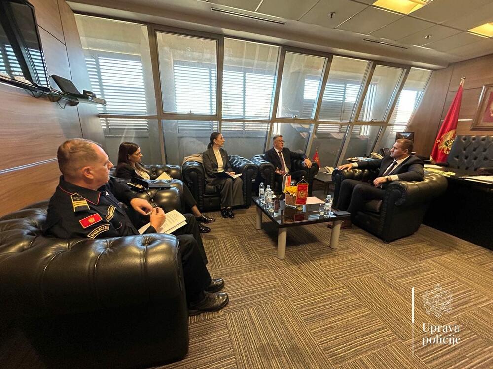 Šćepanović - Grubišić: Saradnja policijskih službi Crne Gore i...