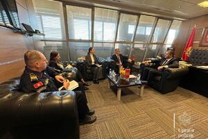 Šćepanović - Grubišić: Saradnja policijskih službi Crne Gore i...