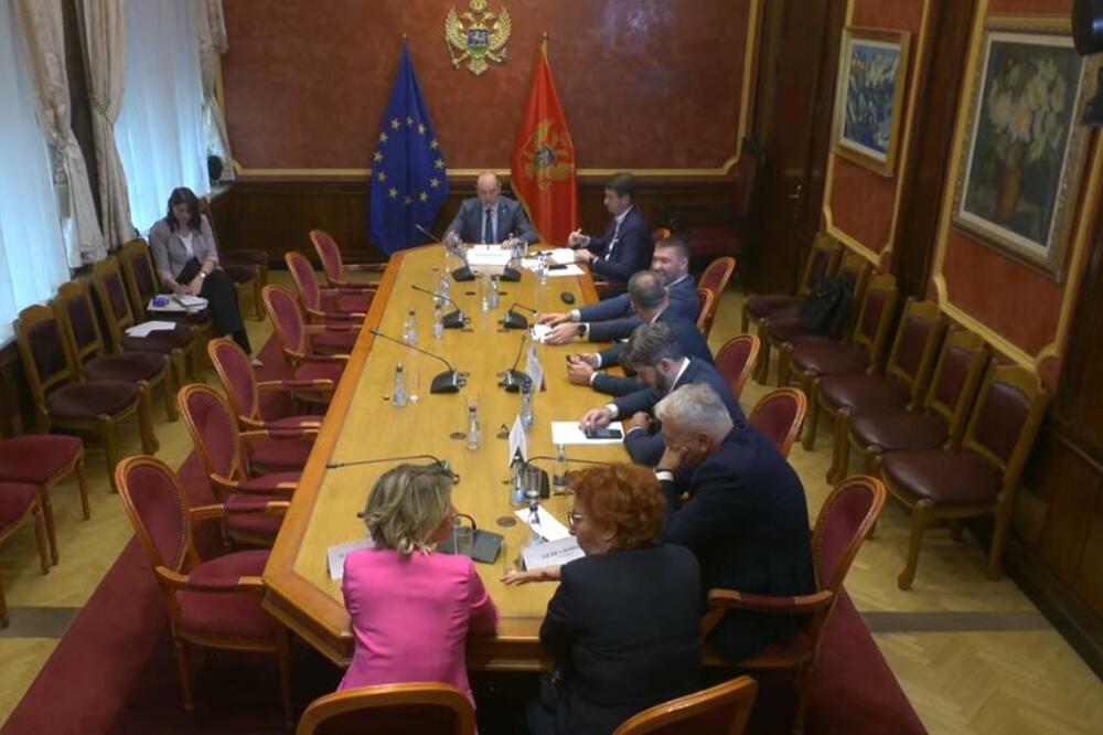 Foto: Skupština Crne Gore/Youtube