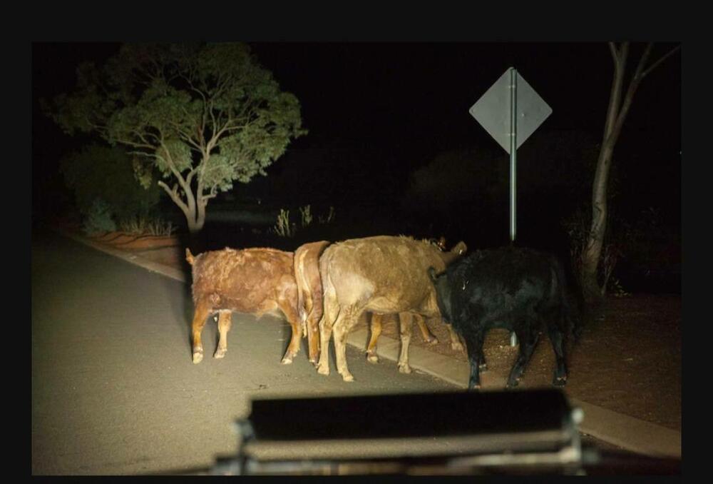 I noću na cesti