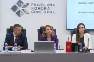 Drakić: Država kroz institucije ima odgovornost da sprovodi...