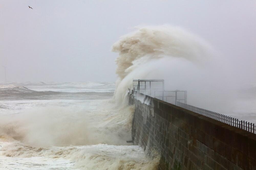 Ilustracija, Foto: Shutterstock