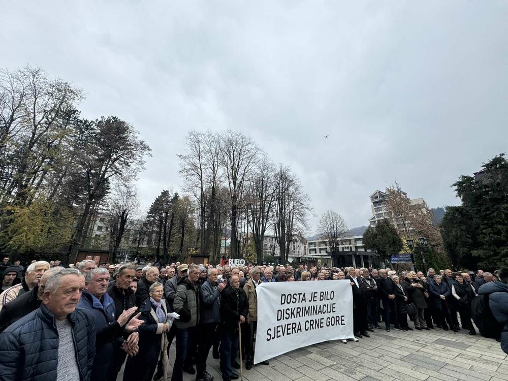 <p>Protest organizovao Pokret penzionera Crne Gore</p>