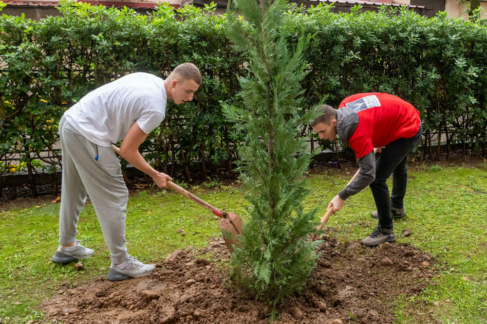 <p>Sadnja drveća u Ekonomskoj školi &bdquo;Mirko Vešović&ldquo; u Podgorici</p>