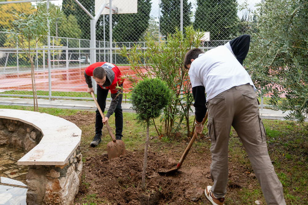 <p>Sadnja drveća u Ekonomskoj školi &bdquo;Mirko Vešović&ldquo; u Podgorici</p>