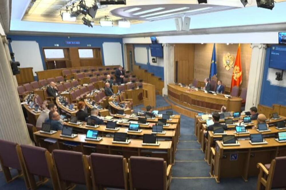 Foto: Skupština Crne Gore/Youtube