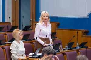 Gorčević: Vlada ima odgovor na svaki scenario kad je u pitanju...