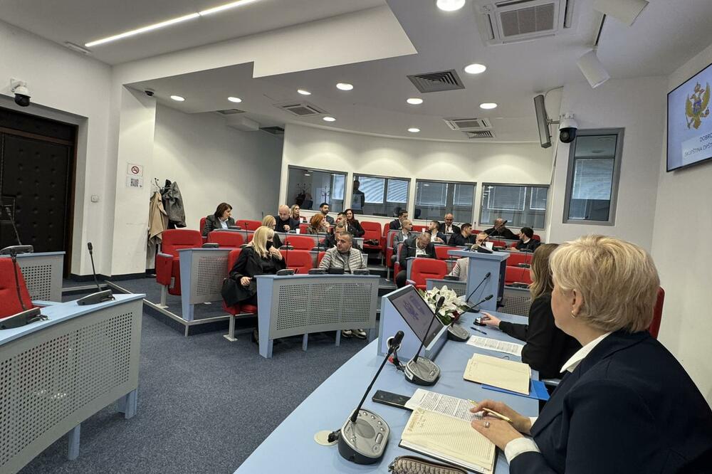 Sa sjednice, Foto: Jadranka Ćetković