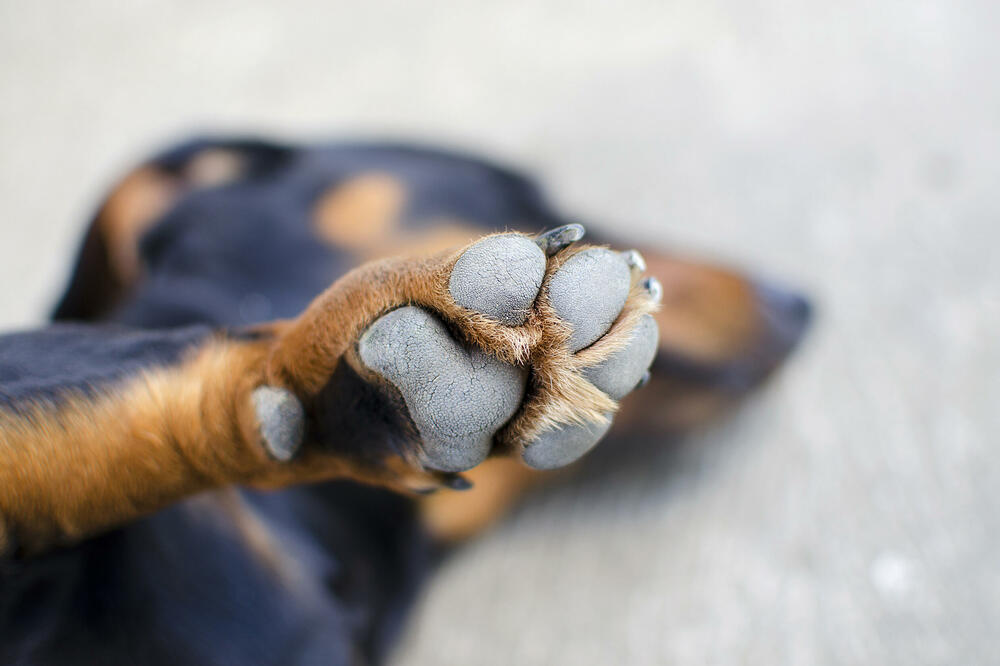 Ilustracija, Foto: Shutterstock