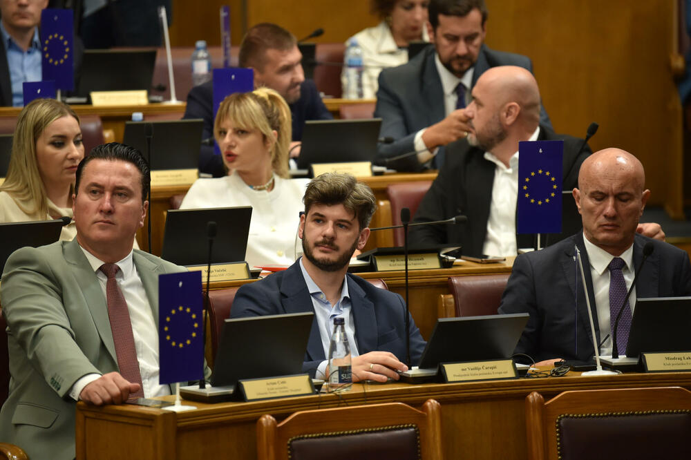 "Važno da svi politički subjekti sad pokažu spremnost da ustupe svoja budžetska finansiranja": PES, Foto: BORIS PEJOVIC