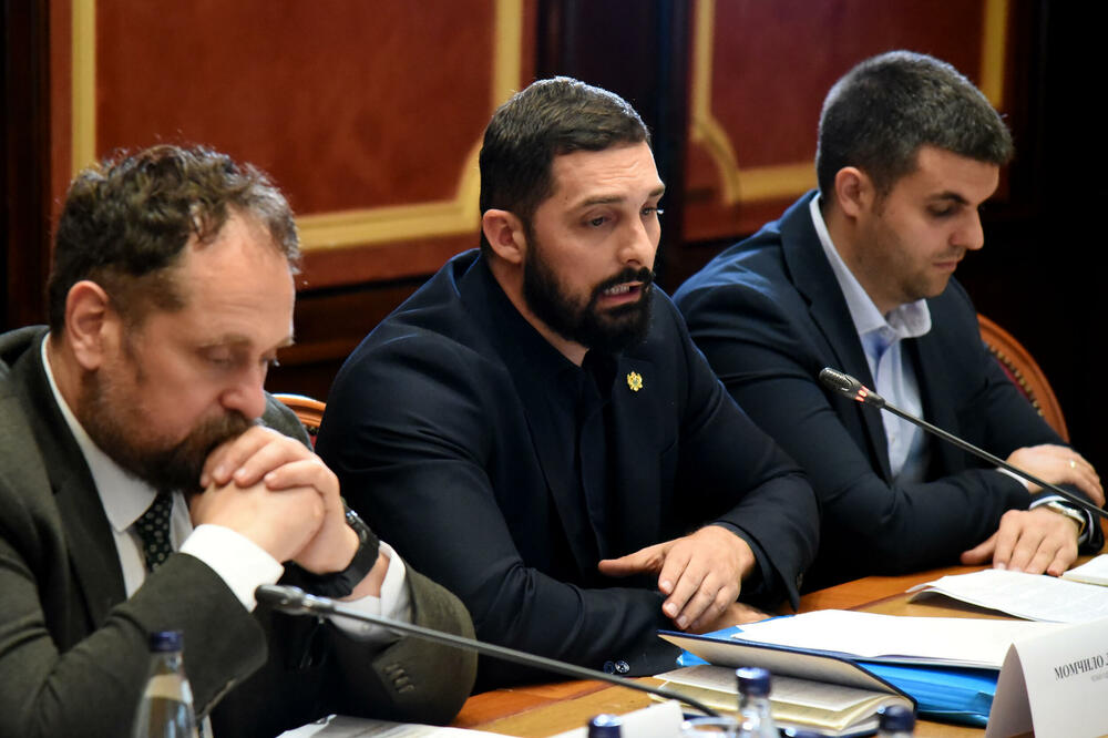 Leković i Božović na Anketnom odboru, Foto: Luka Zeković