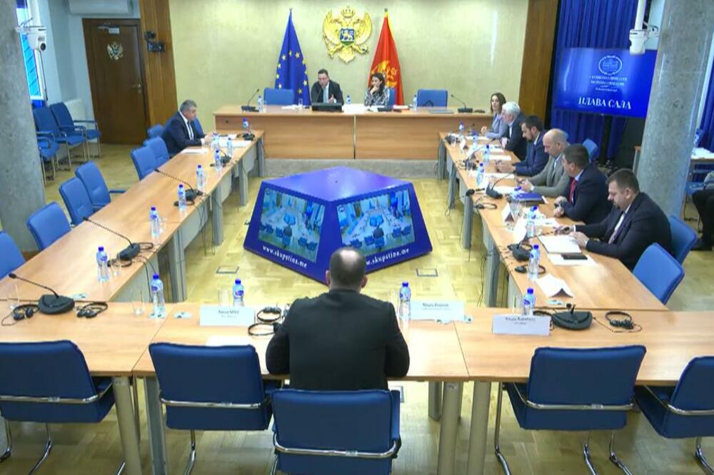 Andrija Nikolić, Foto: Skupština Crne Gore/Youtube