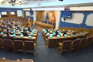 Popović imenovan u Senat Državne revizorske institucije