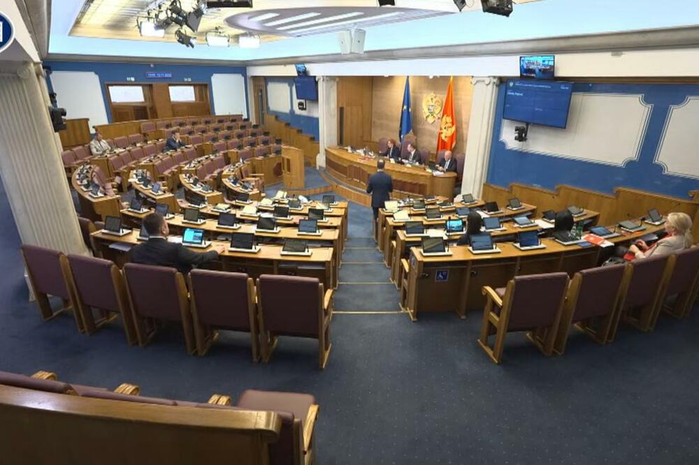 Detalj iz Skupštine, Foto: Screenshot/YouTube/Skuština Crne Gore