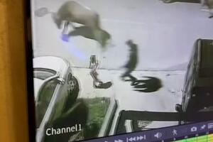 Dumidran: Dijete spaseno od lutajuće stoke