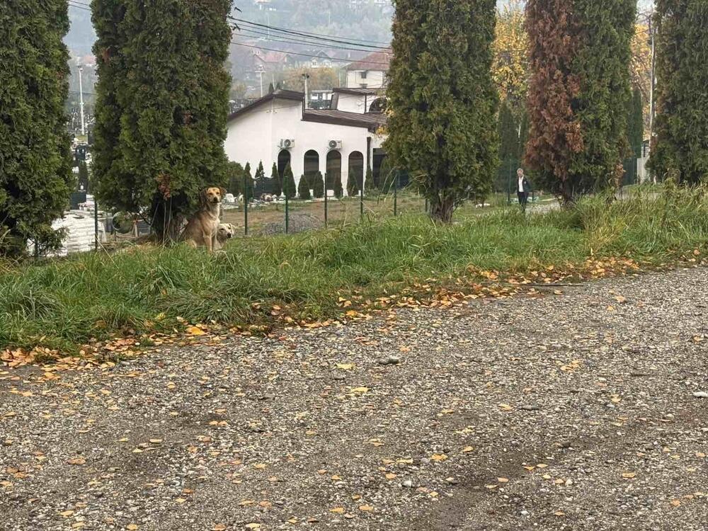 Nasip iznad puta i kapela