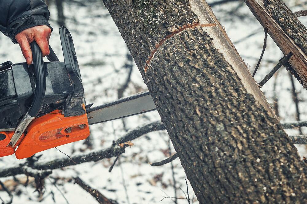 Ilustracija, Foto: Shutterstock