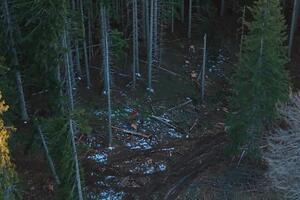 Podnijeli krivičnu prijavu protiv Rajkovića i još dvije osobe: Da...