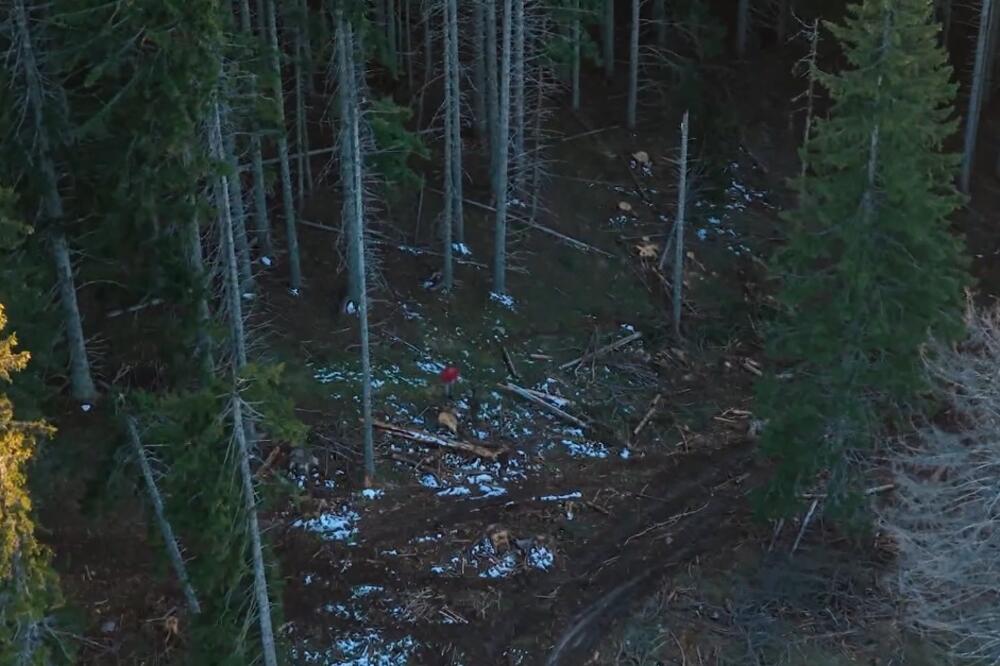 Foto: Screenshot/TV Vijesti