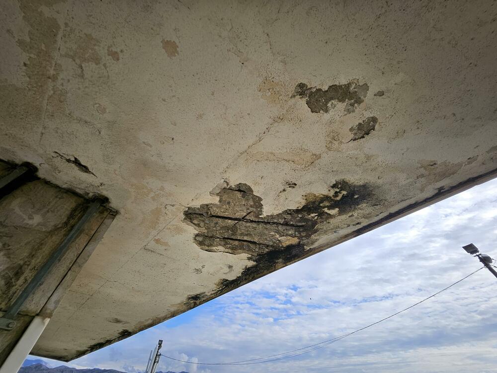 Detalj sa spomenika na Trijepču