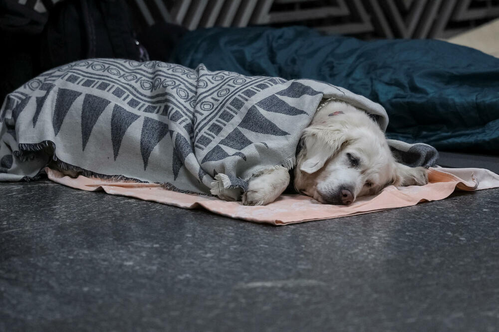<p>Predsjednik Ukrajine je optužio Rusiju za "proračunati napad, osmišljen da nanese maksimalnu štetu civilnom stanovništvu i ošteti civilnu infrastrukturu"</p>