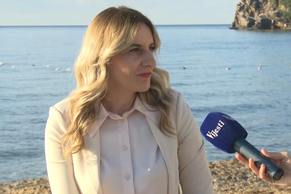 Vujošević, Foto: Screenshot/TV Vijesti